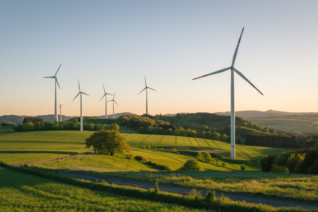 Vindkraftverk i naturen